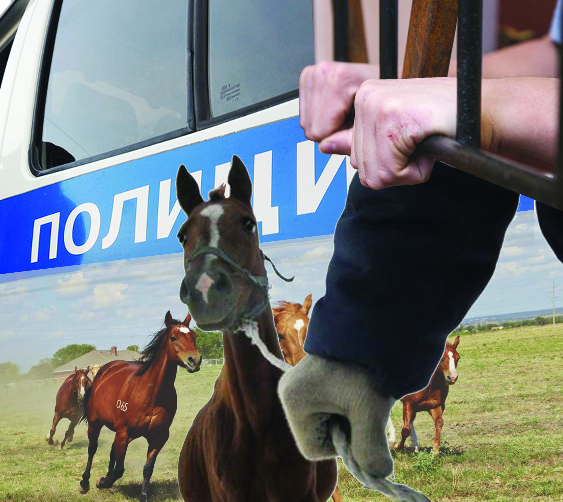 Төрт түлігін танымайтындар да бар