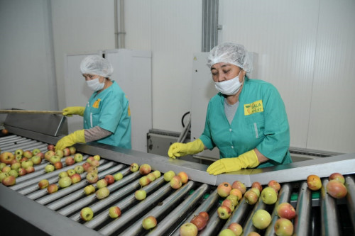 «Егістен сөреге дейін»  жобасы аясында отандық өнімнің өрісі кеңейеді