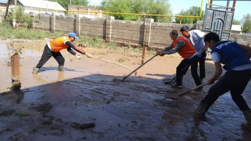 Жексенбідегі жаңбыр: Екі ауданда үйлерге су кіріп, мал шығыны орын алды
