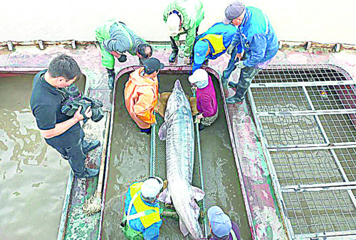 Қортпа мекеніне қайта оралды