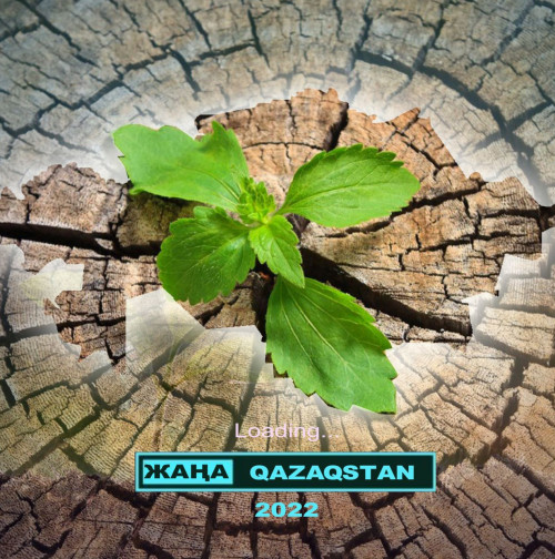 Ауқымды демократиялық үрдіс