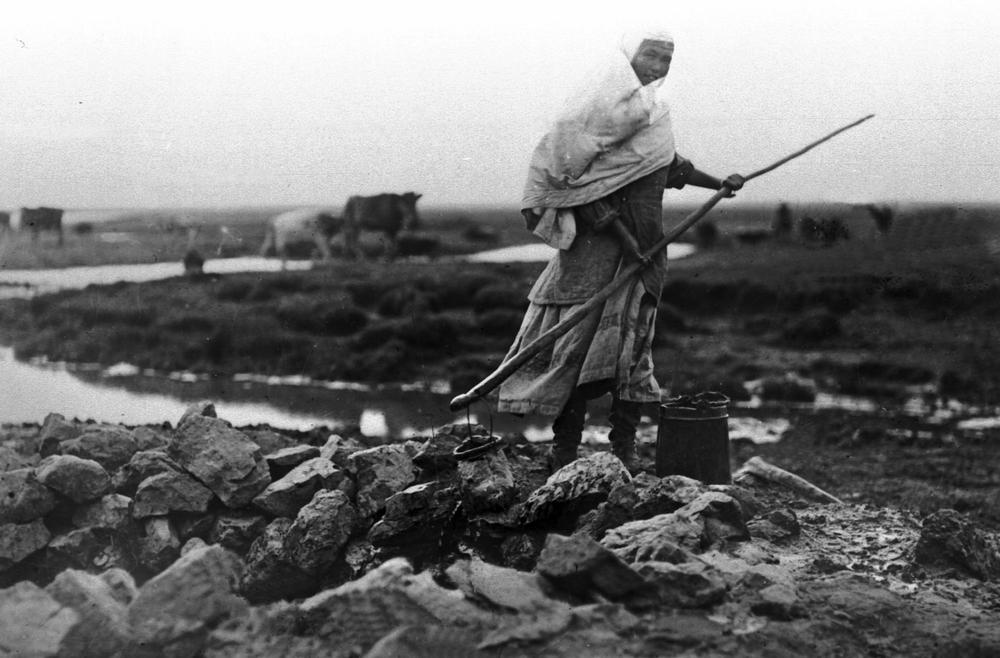 Өнегемен өрілген өмір