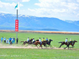 Алтайдағы аламан - Фоторепортаж