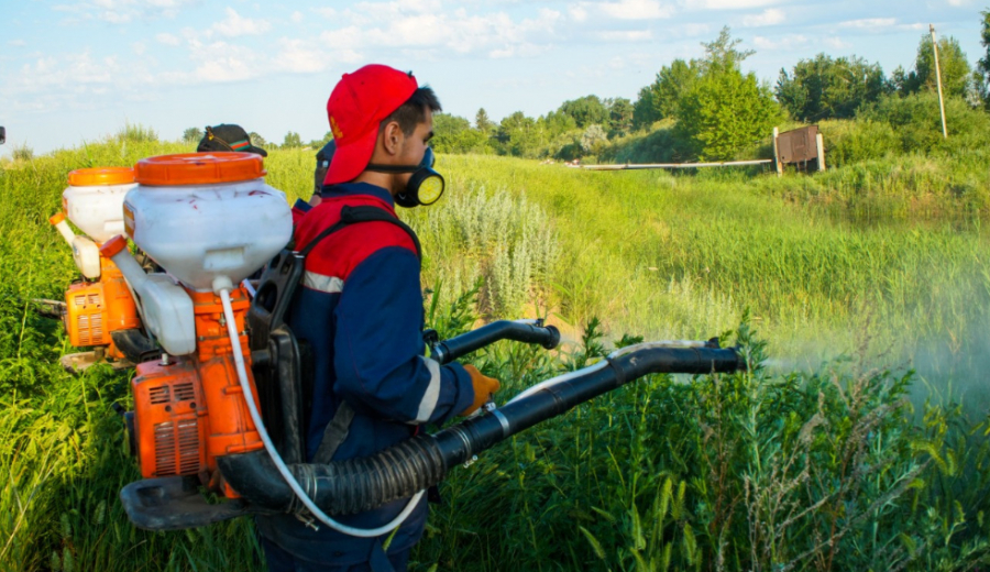 Шаһарда шаруа шашетектен