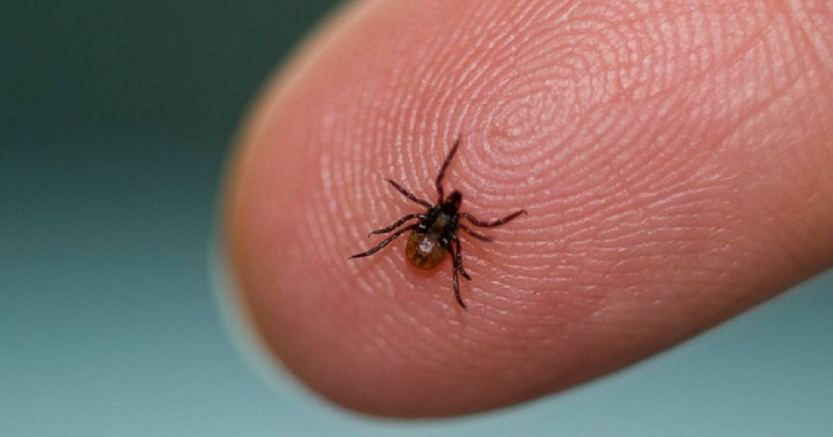 Жалаңаш орыстардың сидит видеолары Жүкті әйелмен жыныстық қатынас