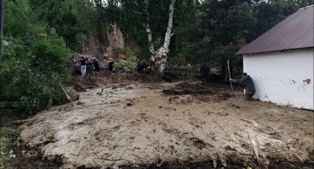 Жас әйелдермен жетілген әйелдердің порнофотосуреттері Brazzers секс машиналары