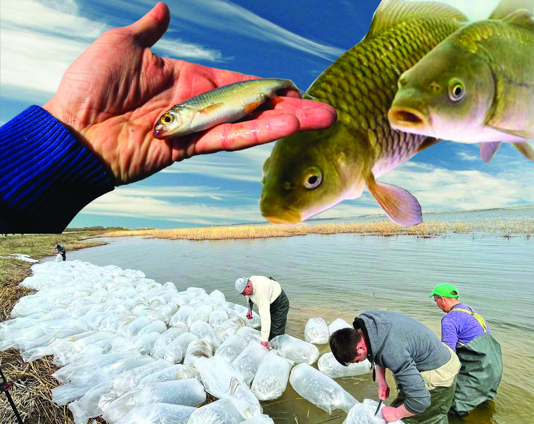 Фотосуреттердегі неміс порно жұлдыздары Ағып жатқан вагиналар