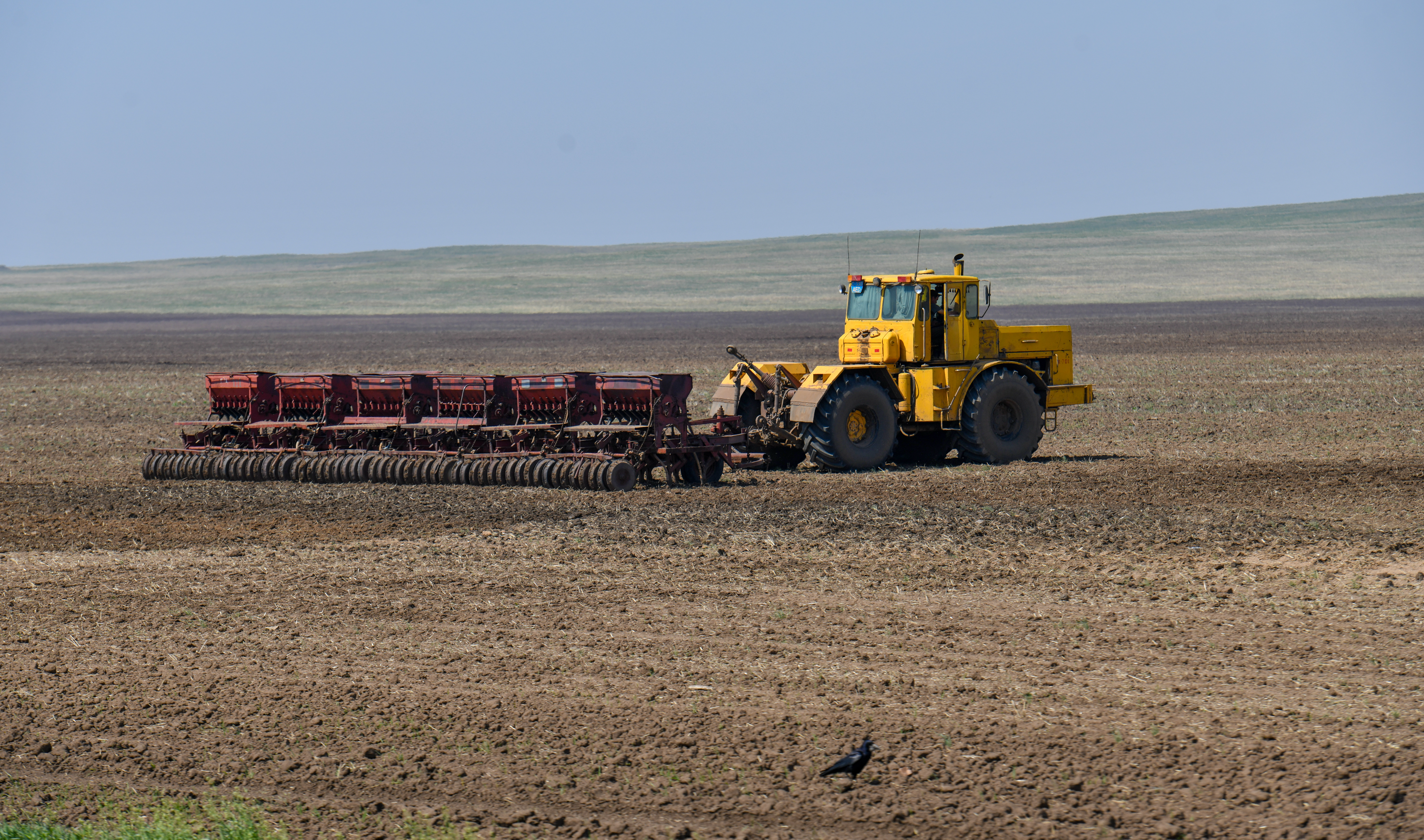 Дала төсіндегі дүбір