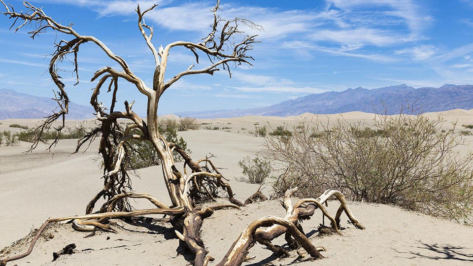 Аптаптың азабын тартқан адамзат