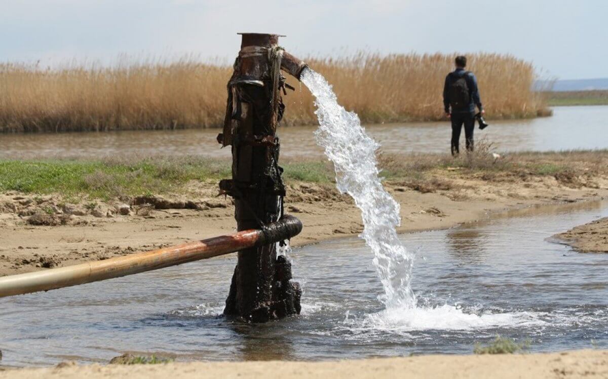 Көкжидеге қолдау қажет