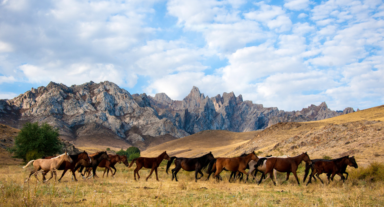 Люси аудармасымен порно фильмдерді онлайн көріңіз