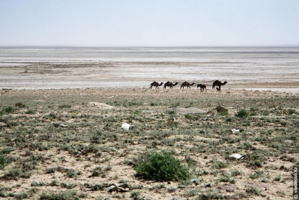 Өте жас және әдемі әйелдердің порно фотосуреттері