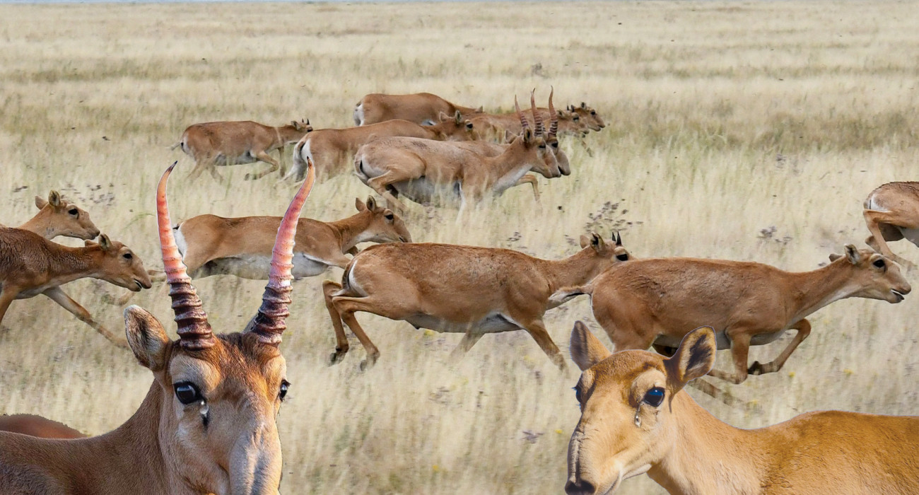 Джулия Нова секс Порно фильмдерді онлайн көру: Доктор К.Г.Г.-ның әйелі бұл көріністен оянды