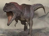 Аргентинада динозаврдың жаңа түрі табылды