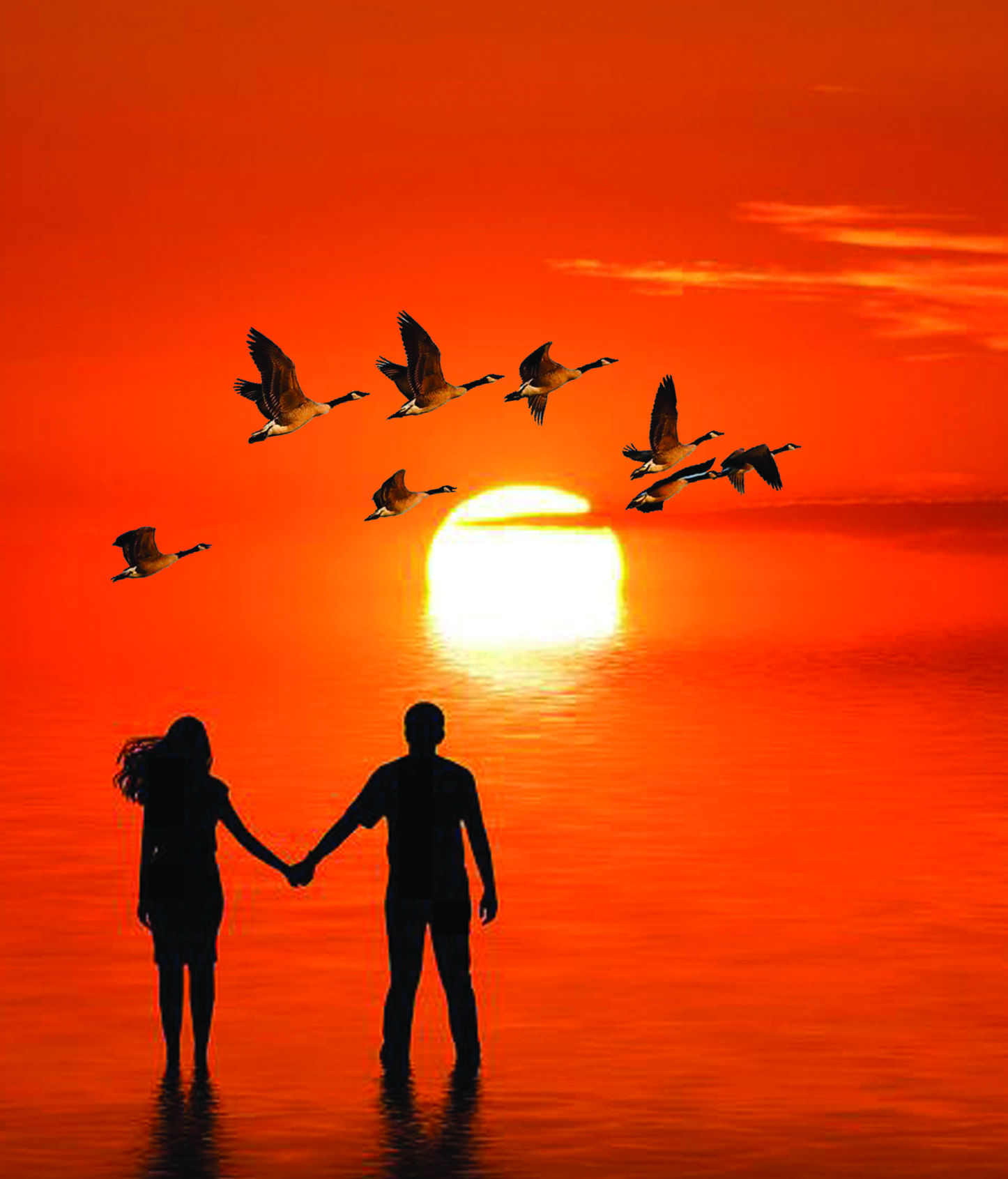 Құстар қайтып барады