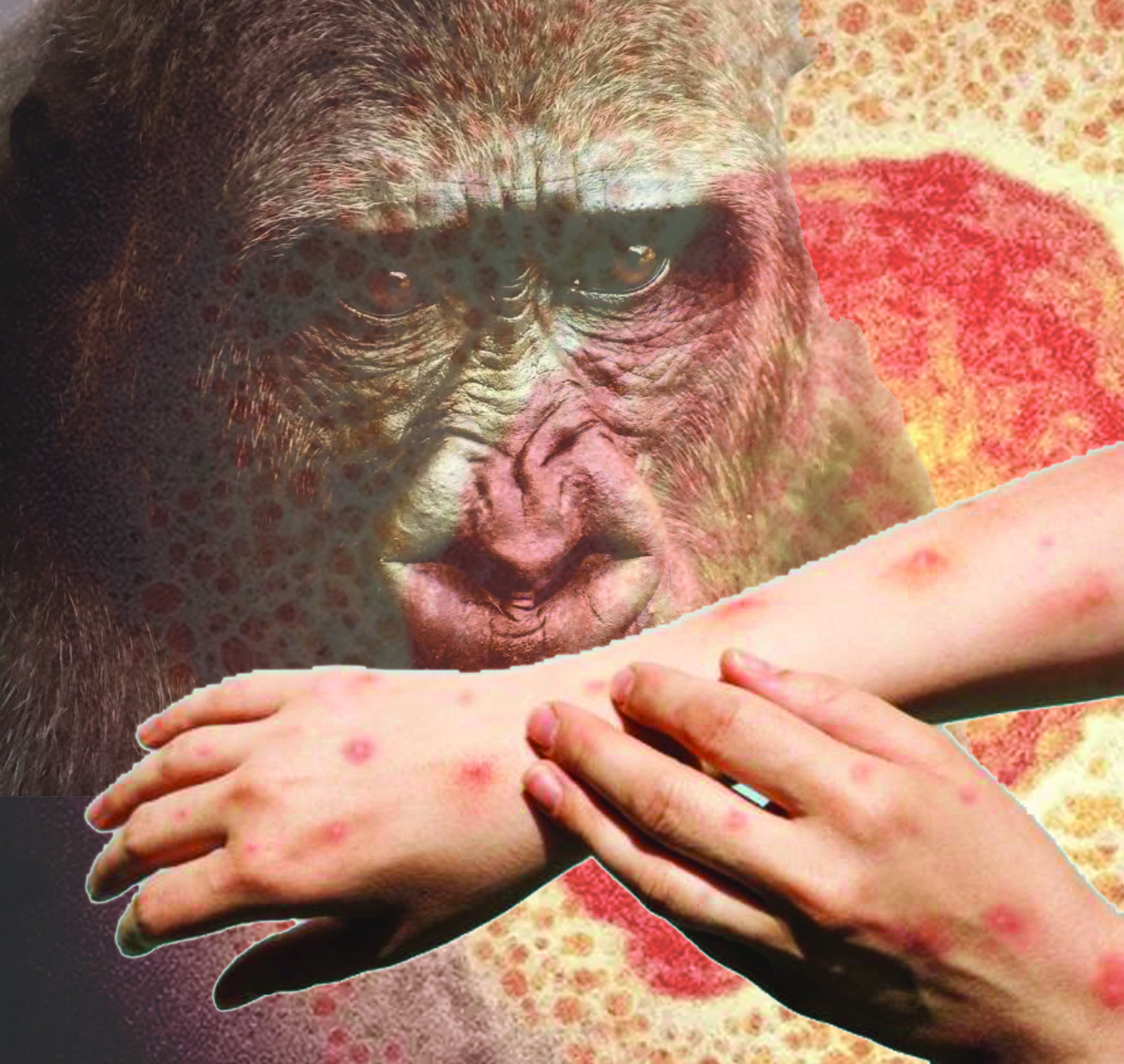 Оргазмға дейін клиторды сору видео