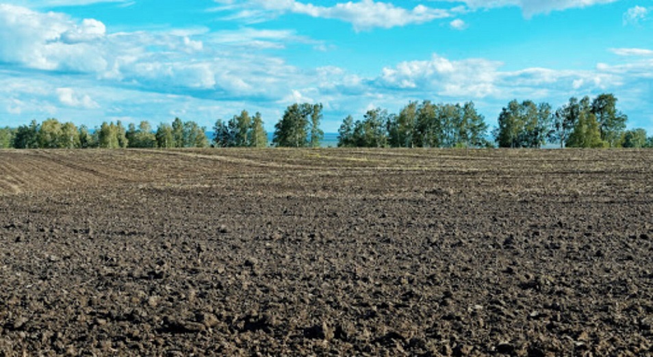 Әбетановты әуреге салғаны несі...