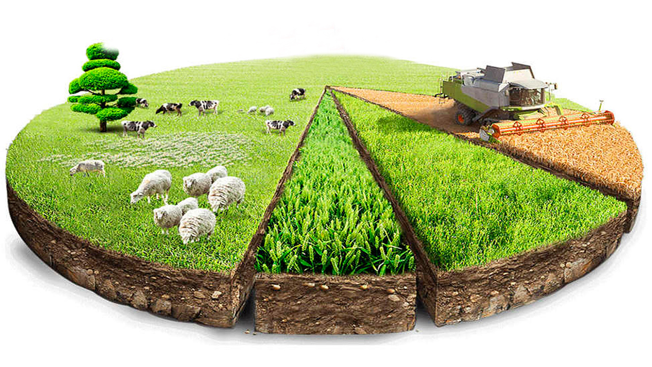 Егістікке есі кеткендер шабындық пен жайылымдарға қол салып жатыр