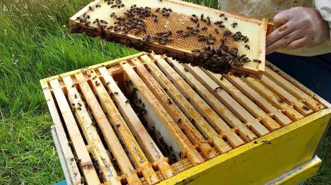 «ТеkТаu»-дың балы танымал