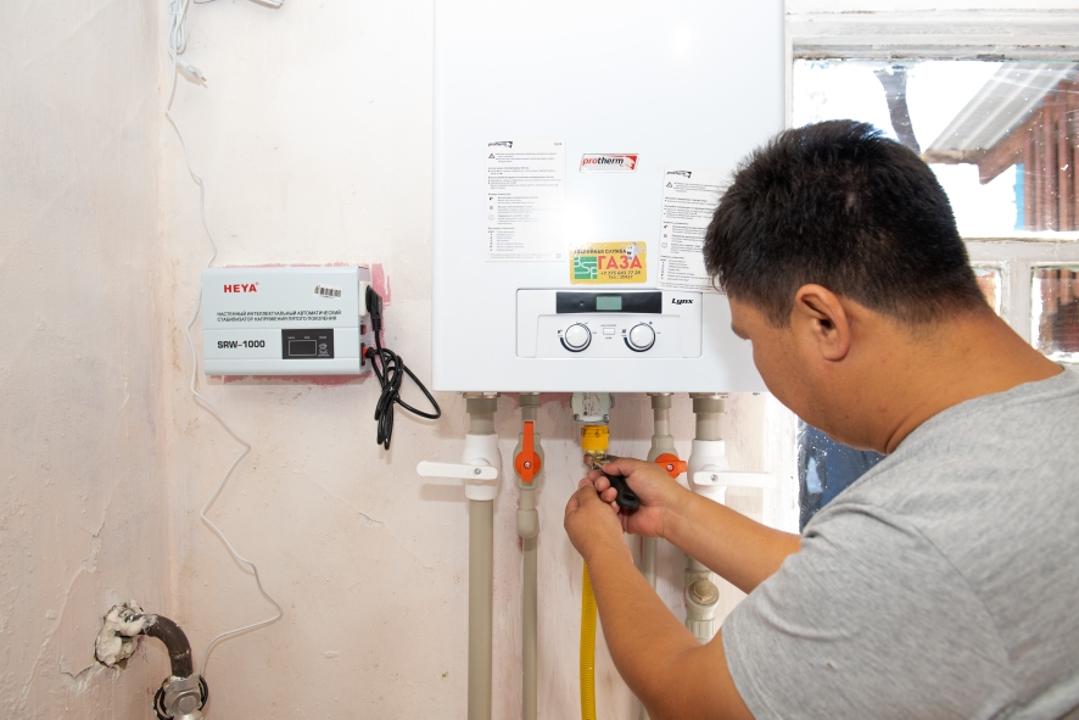 Ел игілігі еселене түсті