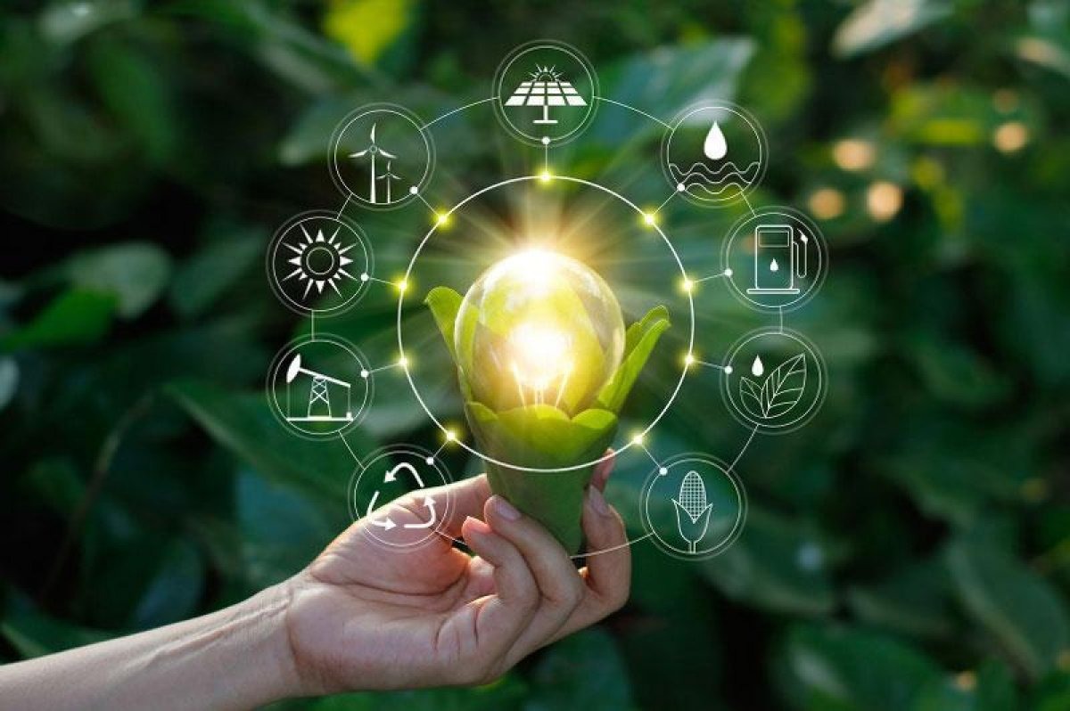 «Жасыл Қазақстан» ұлттық жобасы елімізге не береді?