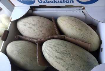 «Жалған» қауын