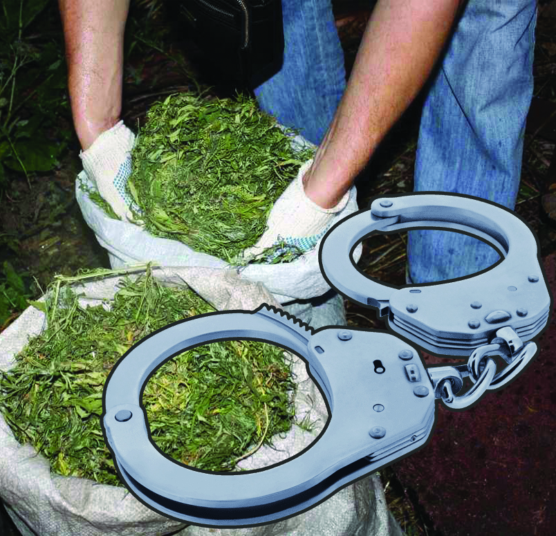 Шудың бойында...