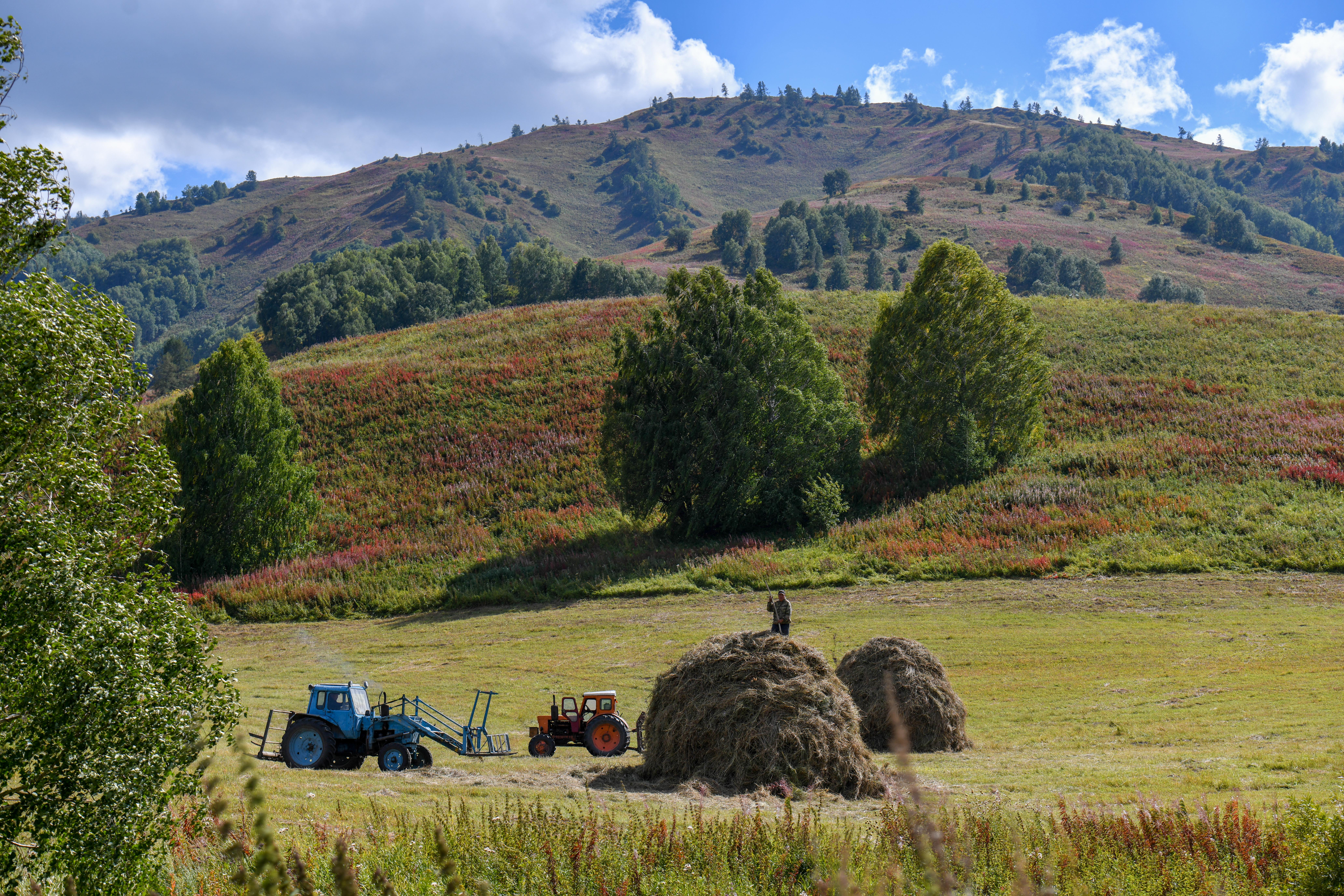 Агросақтандыру сыйақысын субсидиялау артады