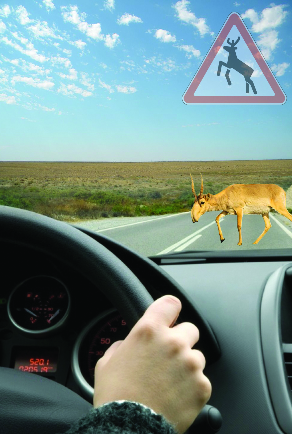 Жезкиік біздің жаққа қайдан келді?