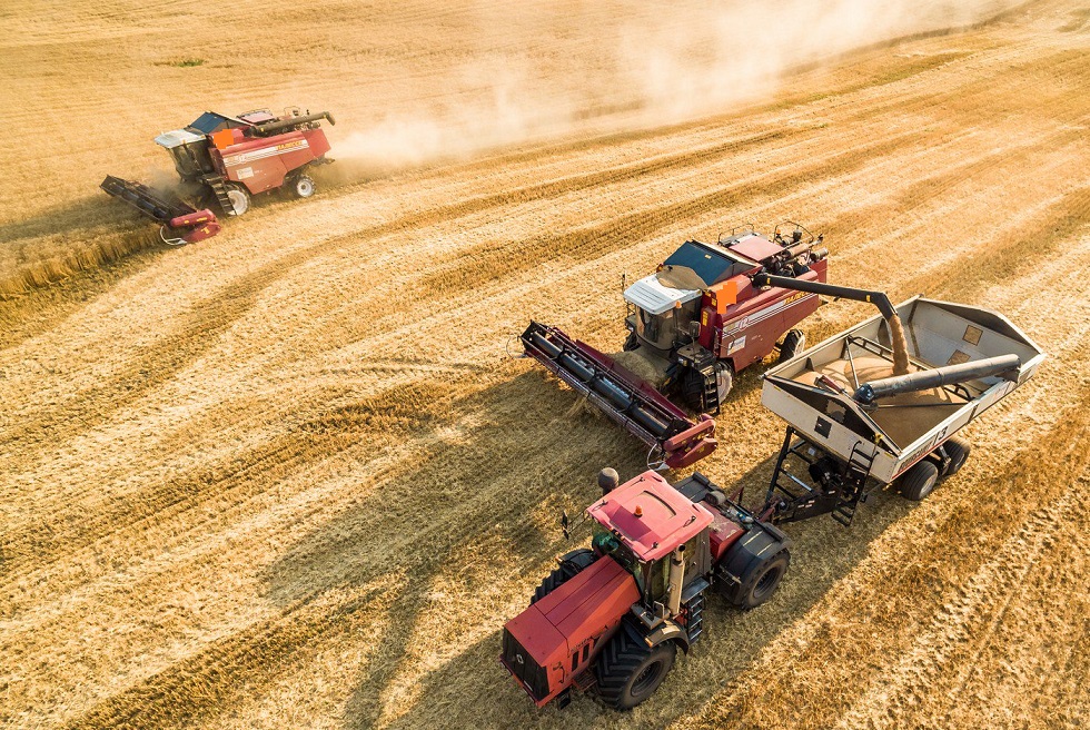 Мультфильмдерді онлайн порно көру