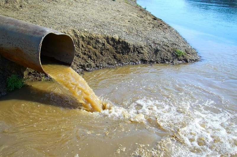 Treasure Island порно видео фильм
