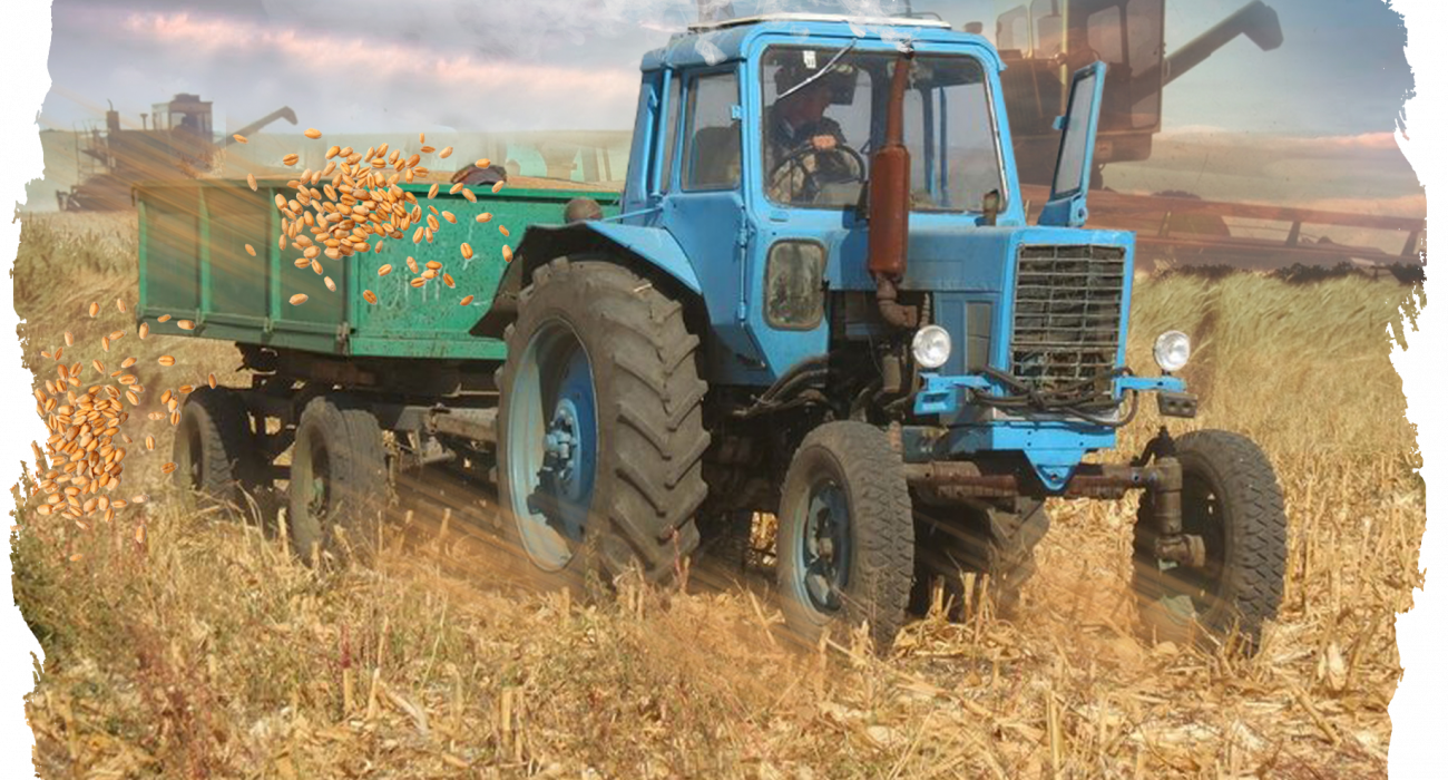 Мұғаліммен онлайн секс