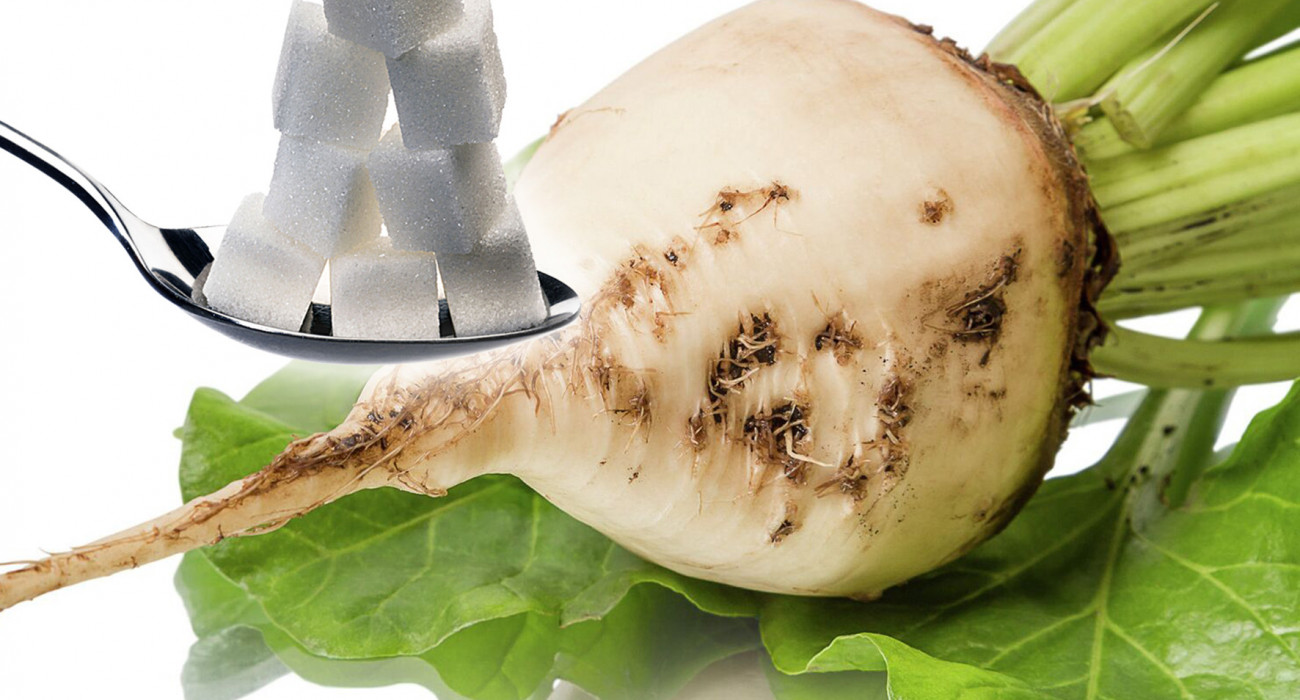 Сантехниктің дос қызын былдырды