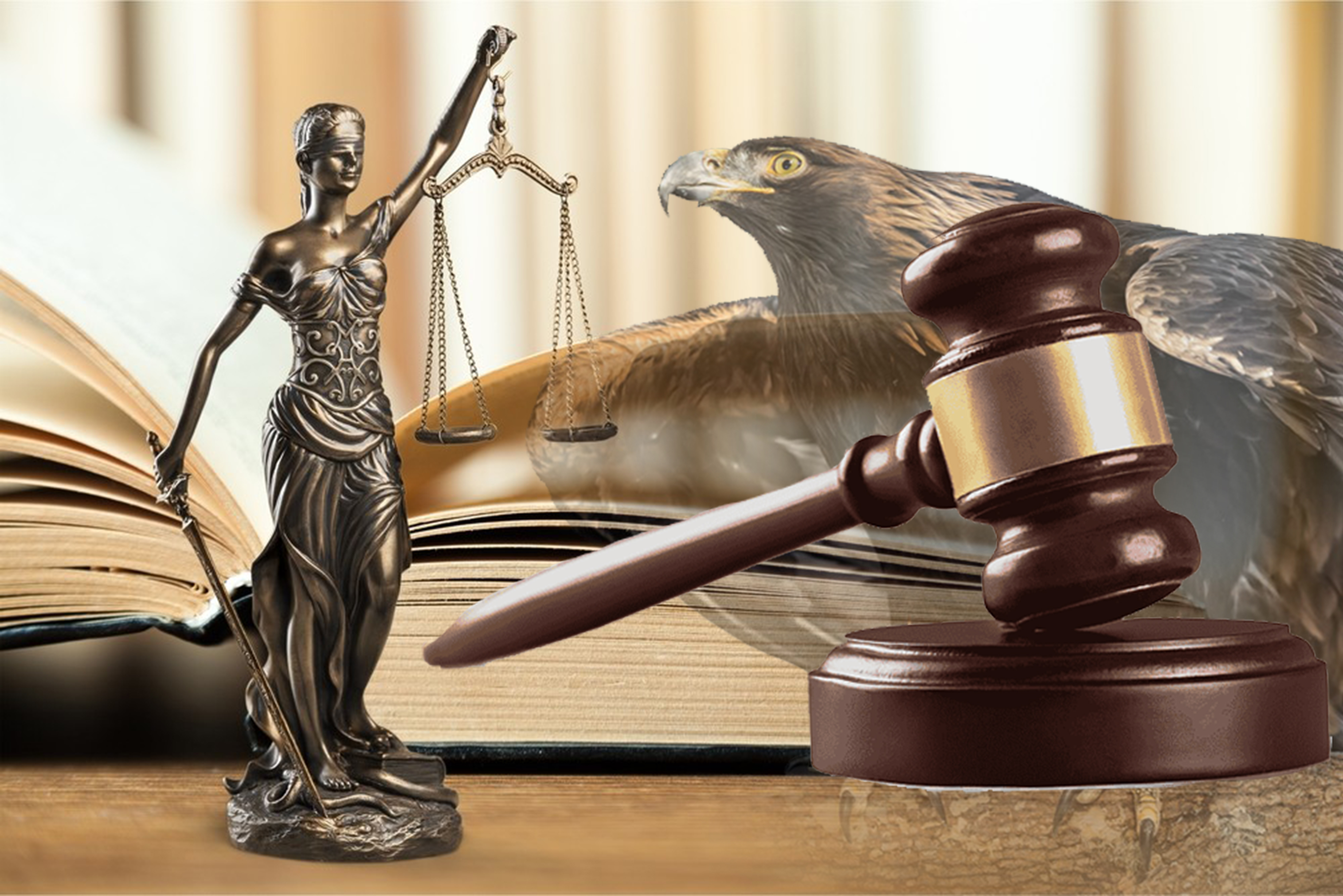 Құқық жүйесін қайтсек қазақшалаймыз?