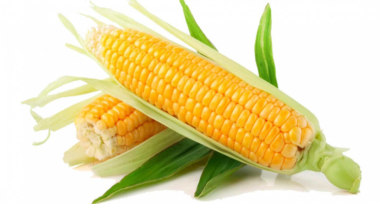 Көрші әйелді ренжітті