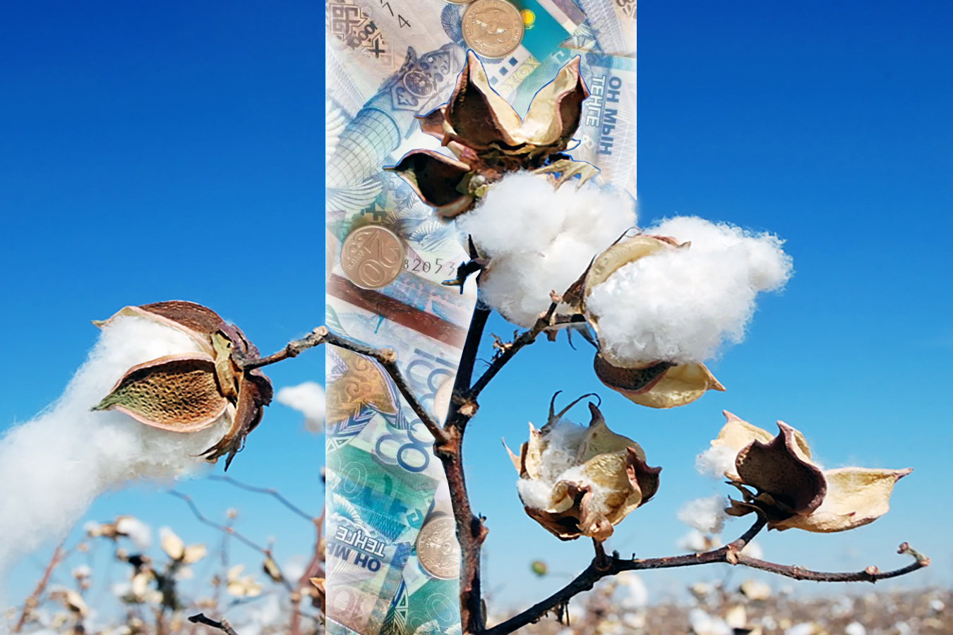 Мақташыны мазалайтын мәселе