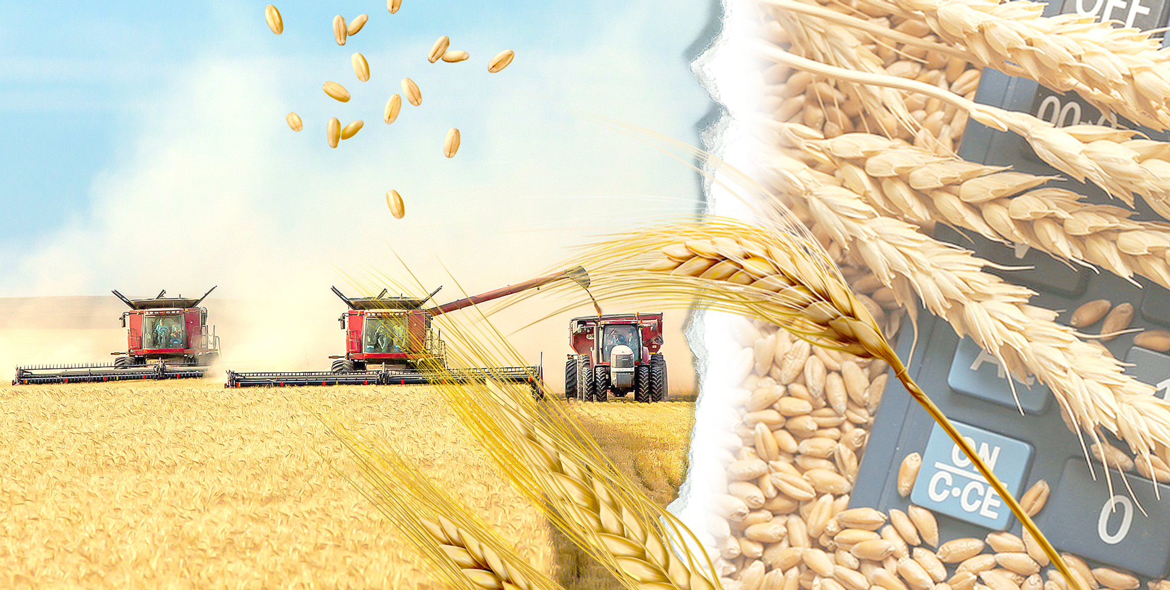 Шығымы аз болса да, түсімі мол