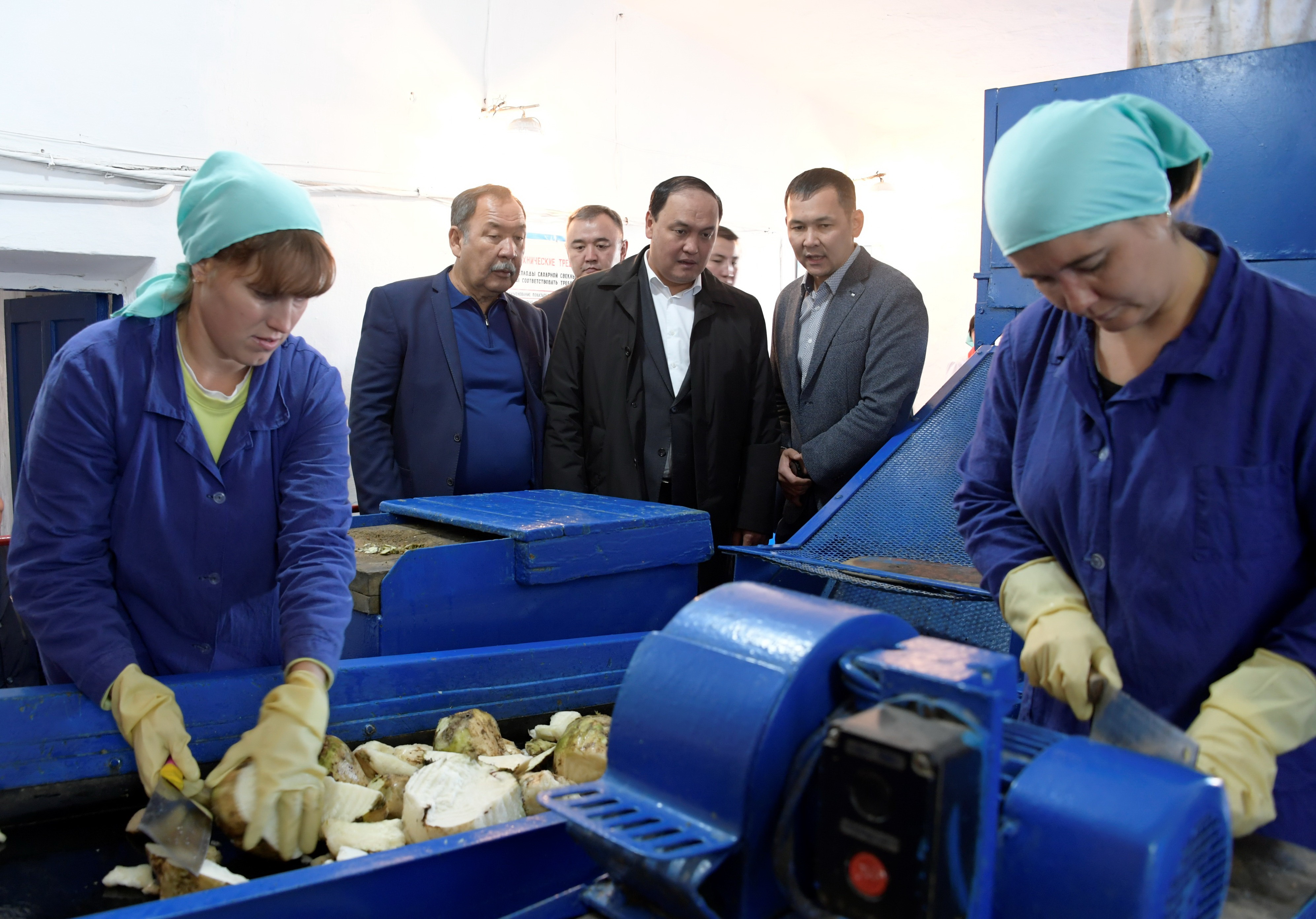 Қызылша өсіруге қаржылық қолдау