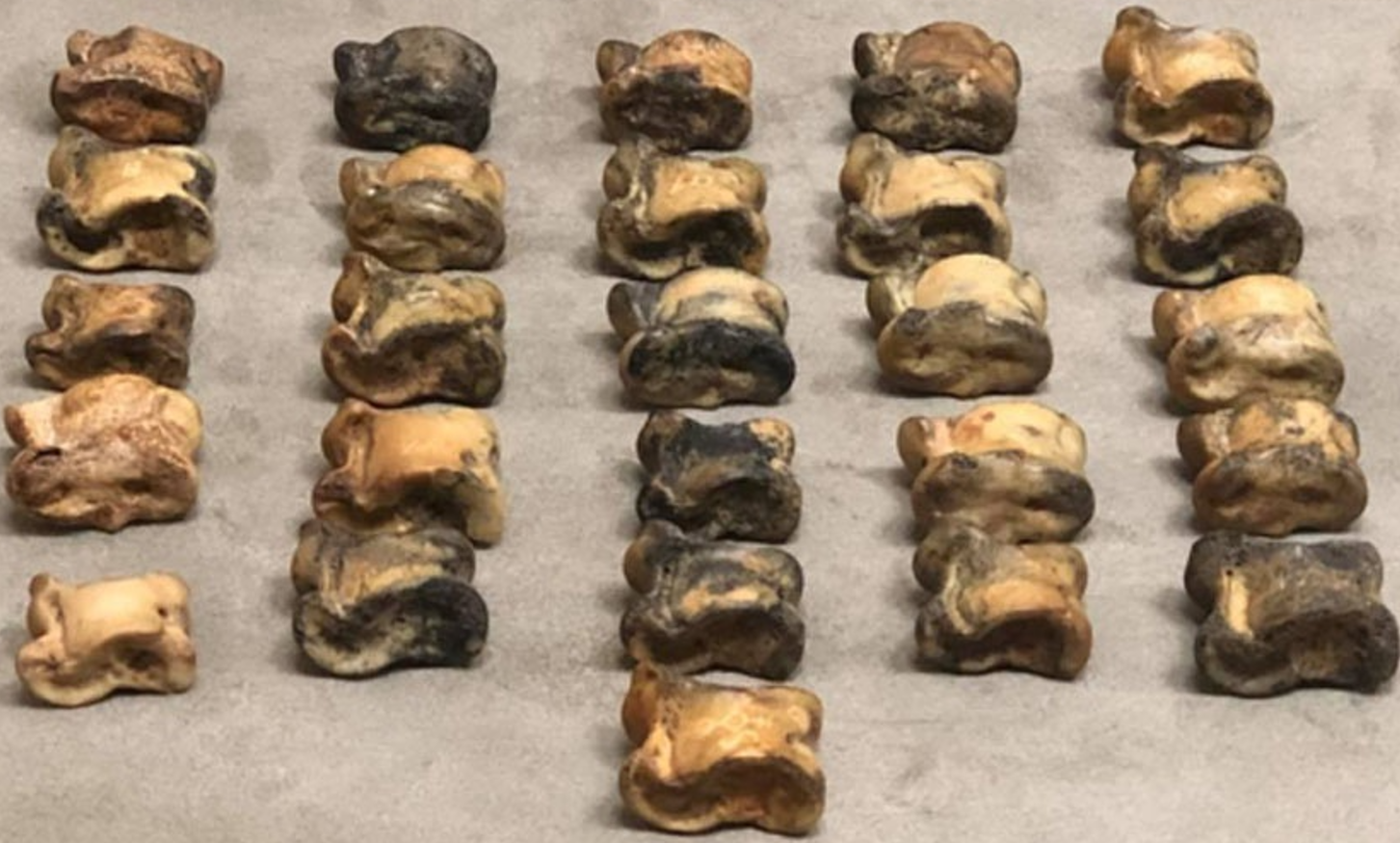 Ғұндар мұрасы – таңбалы асық