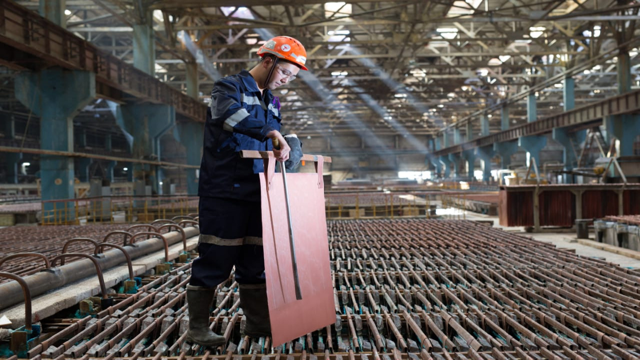 Мыс өндірісі ұлғайды