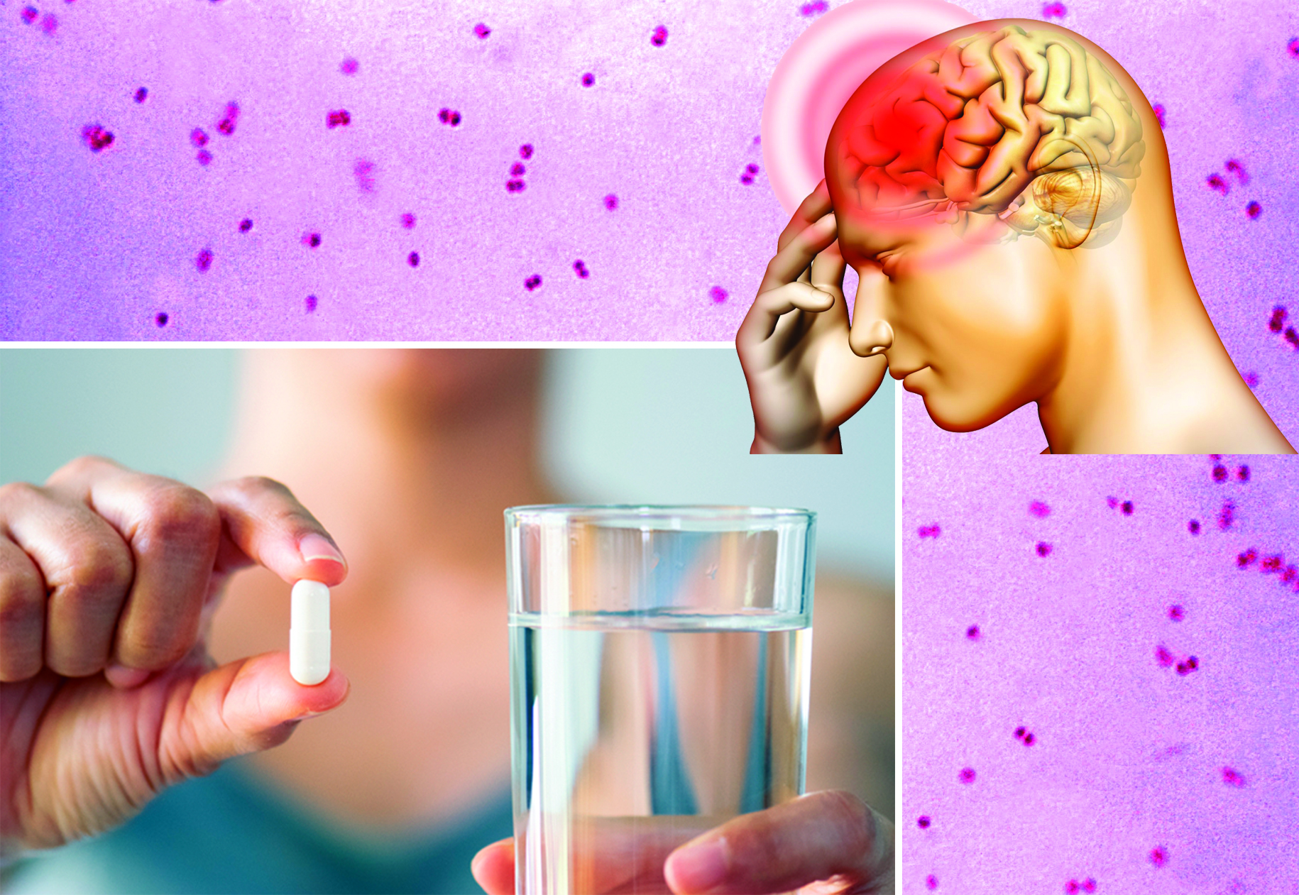 Мобильді порно Роми Рейн