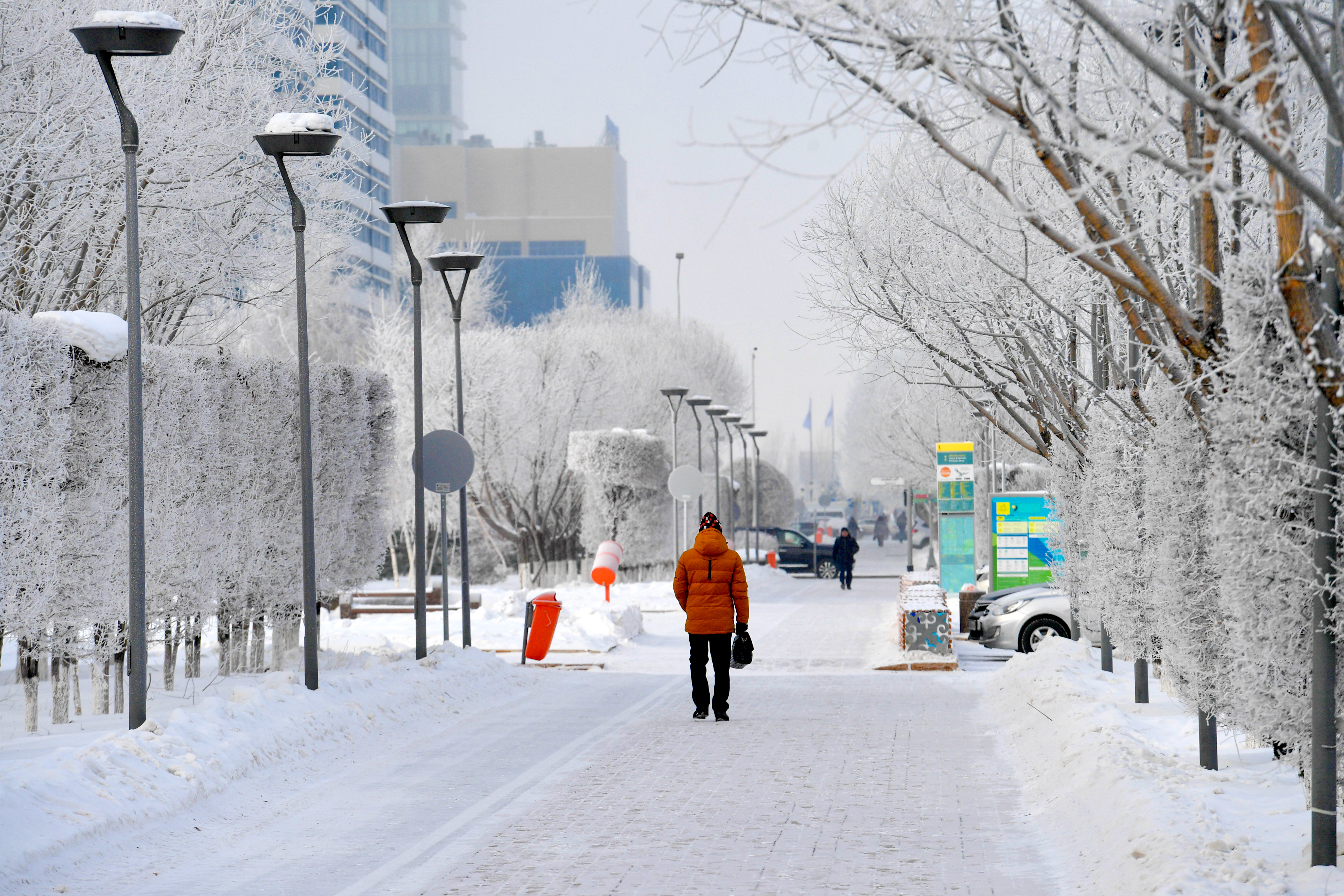 Заңгерлік кеңес: «24/7 жедел желі»