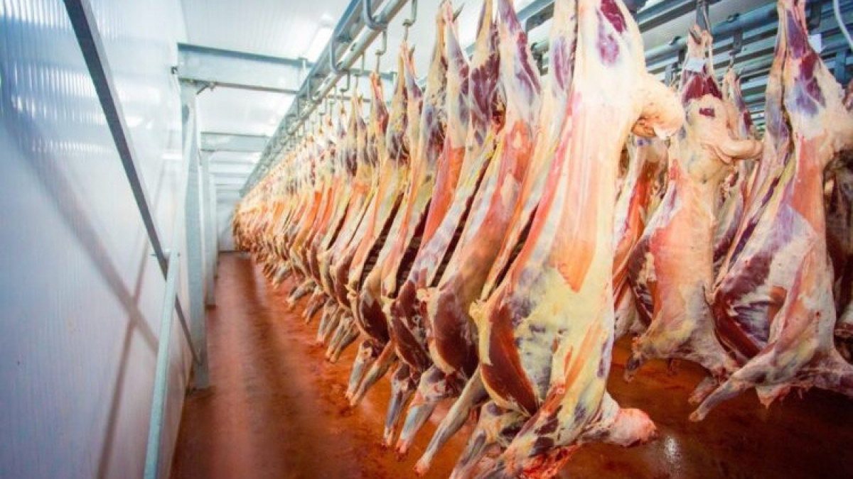 Араб елдеріне қой еті экспортталады