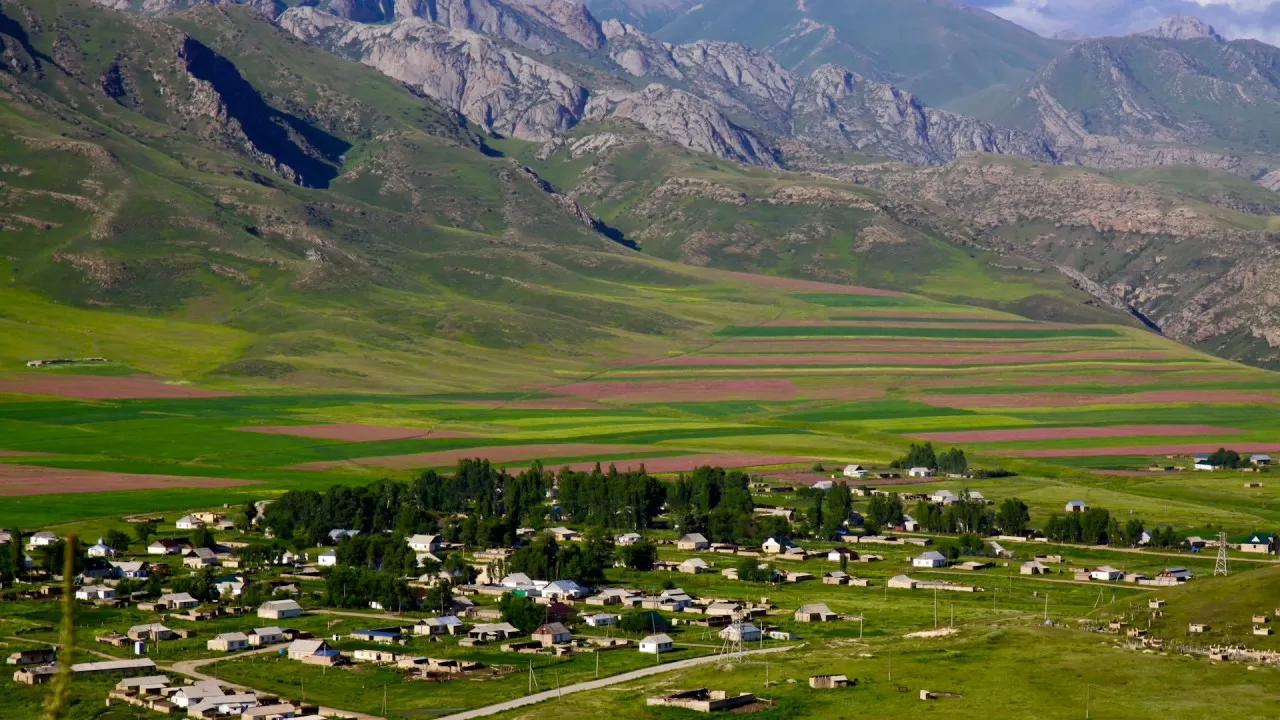 Отандық тұқымның өрісін кеңейтсек