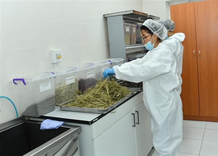 Зерттеу жұмыстарын АҚШ-та жалғастырады