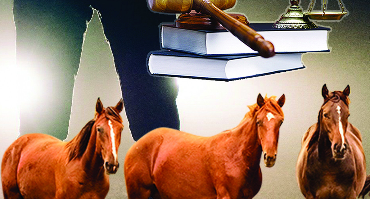 Шәуетпен жабылған жалаңаш фотосуреттер