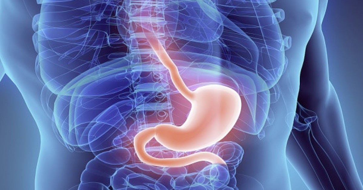 Китананың қатысуымен Mortal Kombat порно видеосы