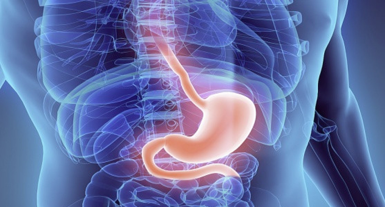 Ананың кискасынан ағып жатқан сперматозоидтардың фотосы