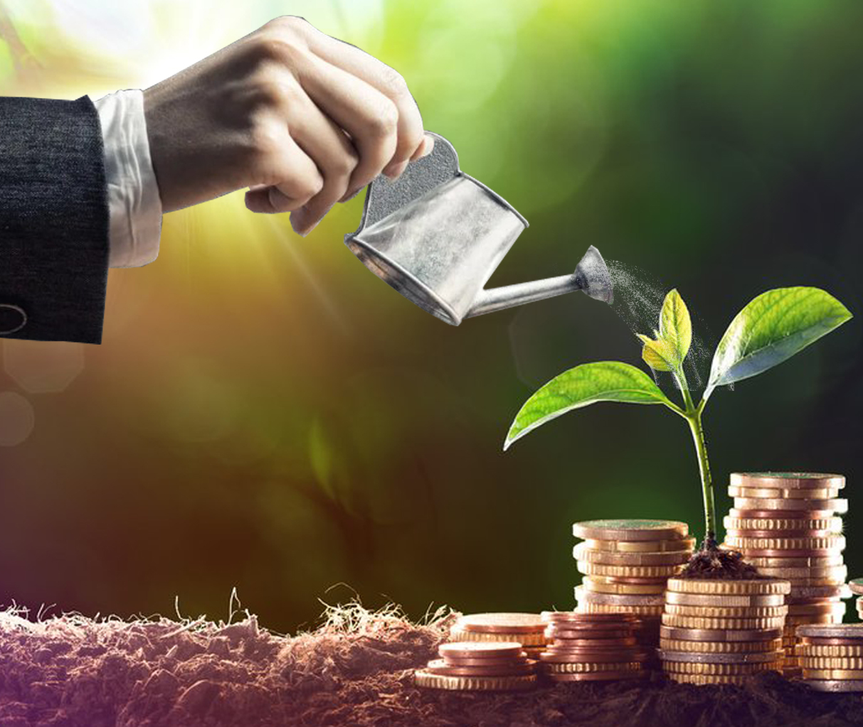 Кәсіпкерді қолдау