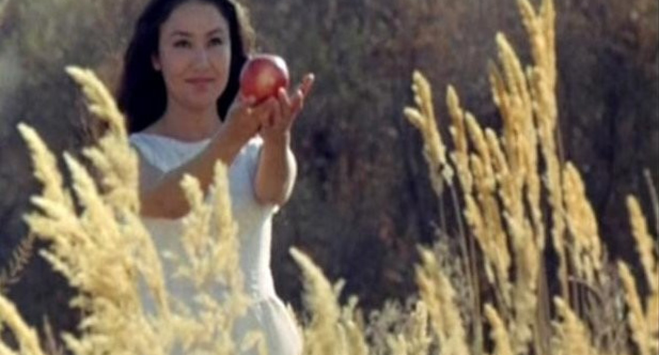 Қызыл бас семіз әтеш